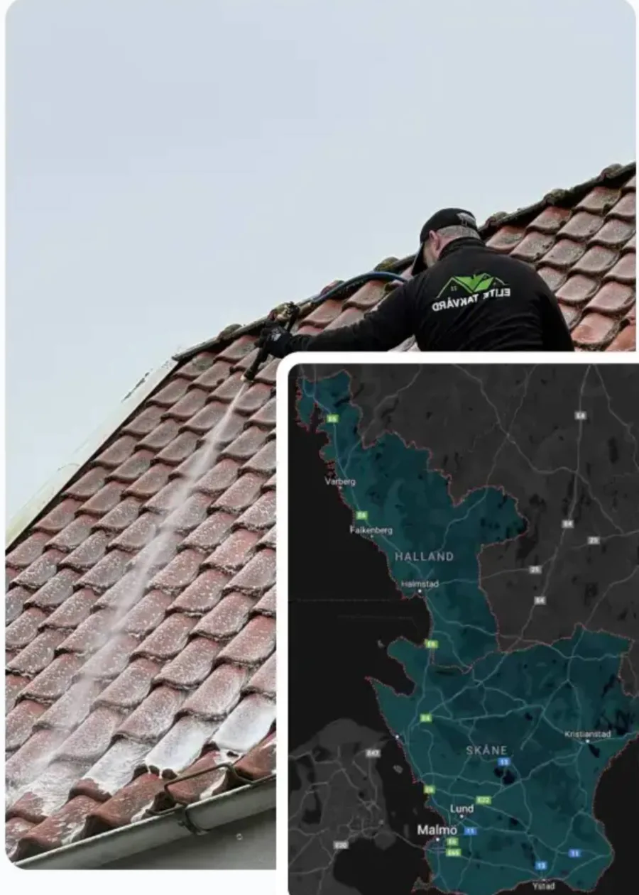 Inför takvård: så förbereder du huset och tomten